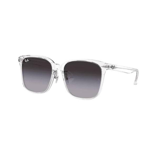RAY-BAN RB2206D
